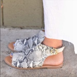 Shoes - Snakeskin Sandal Shoes - Snakeskin Sandal